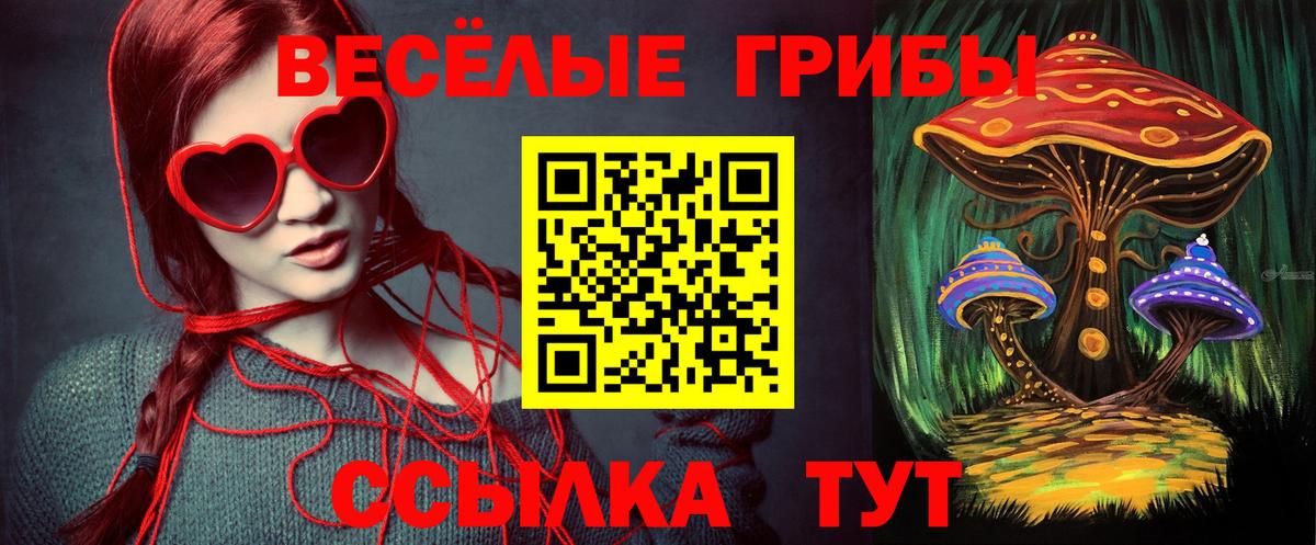 Псилоцибиновые грибы GOLDEN TEACHER  наркошоп  Кострома  Вход с VPN 