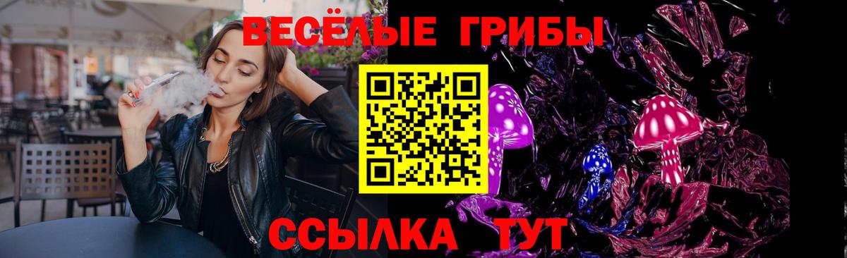 Галлюциногенные грибы Psilocybine cubensis Кострома